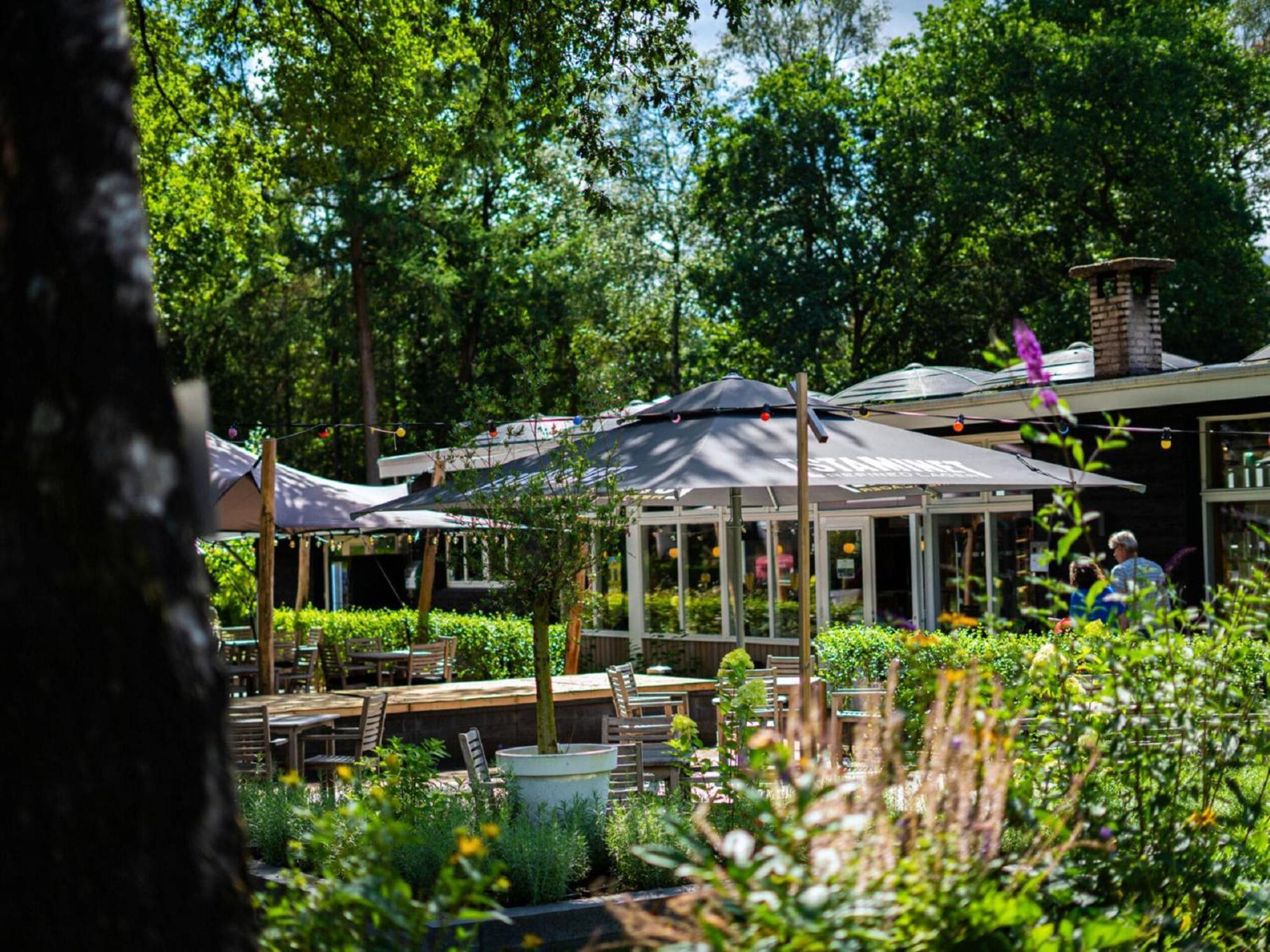 Comfortable Chalet With Combination Microwave Near The Veluwe Hoenderloo Bagian luar foto